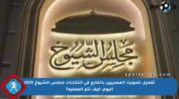 تفعيل تصويت المصريين بالخارج في انتخابات مجلس الشيوخ 2025 اليوم: كيف تتم العملية؟